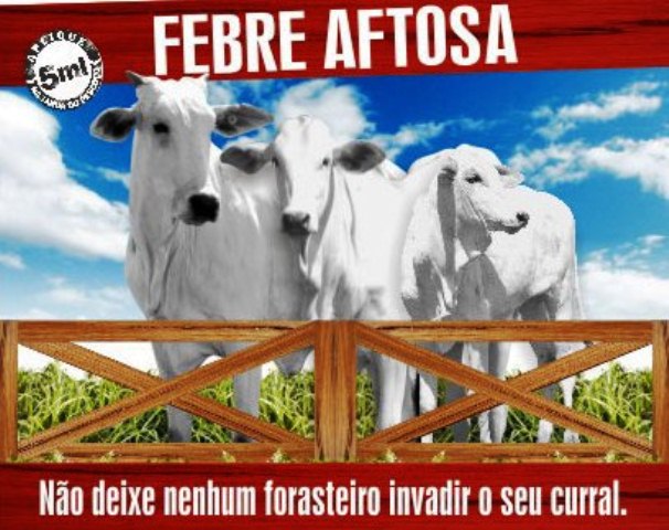 Campanha contra Febre Aftosa encerra dia 31 de maio