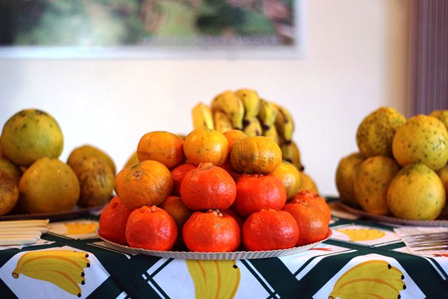 II Conferência Municipal de Segurança Alimentar e Nutricional de Capitão Leônidas Marques