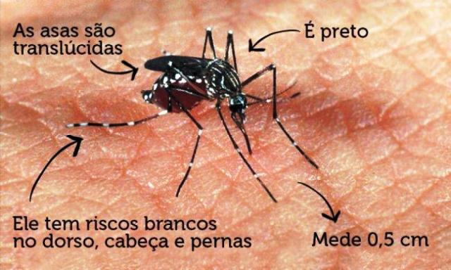 Cinco casos de dengue confirmado em Três Barras do PR