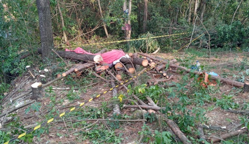 Homem morre após ser atingido por árvore em Pérola D Oeste