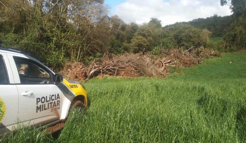 Estado aplica R$ 1 milhão em multas e apreende madeira nativa em ação contra o desmatamento