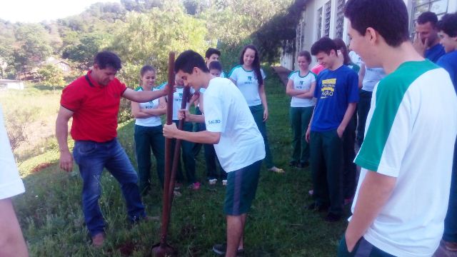 Alunos de Capitão plantam árvores em comemoração ao Dia da árvore