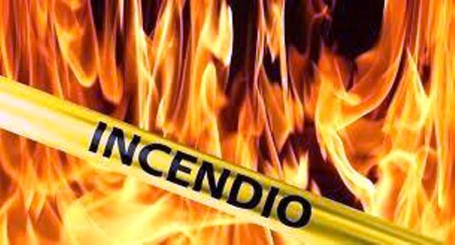 Incêndio em plantação de banana em Capitão