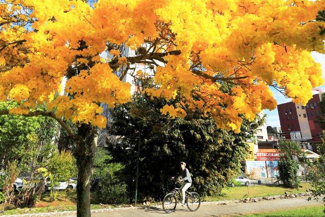 Primavera será de calor e poderá chover acima da média no Paraná