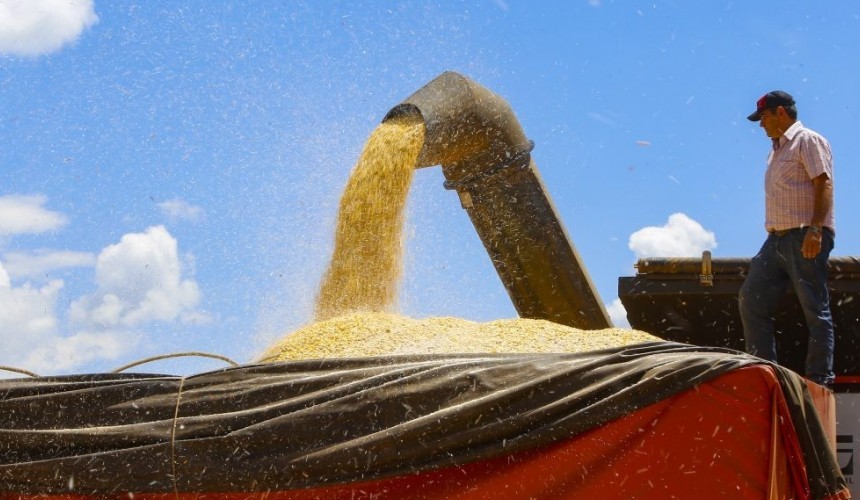 Safra de grãos no Paraná será 3% menor no verão de 2022