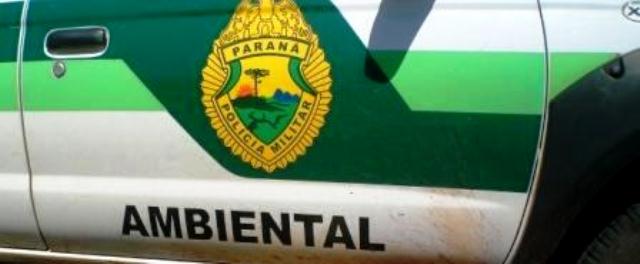 Policia ambiental prende pescadores em Boa Esperança e multa agricultor de Capitão