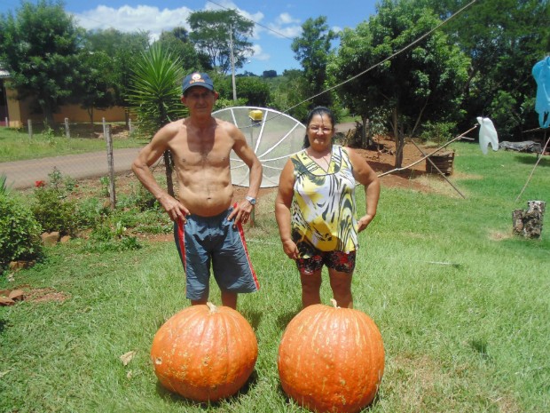 Moranga com 39 kg nasce em sítio no sudoeste do Paraná