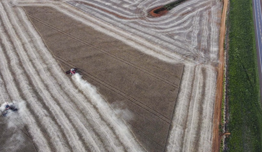 Safra de grãos 21/22 no Paraná pode chegar a 36,9 milhões de toneladas, aponta Deral