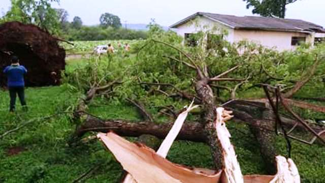 Vento e granizo provocam estragos no Sudoeste