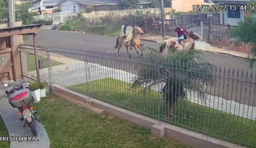 Ladrões praticam furto em residência e fogem a cavalo levando os objetos no Paraná