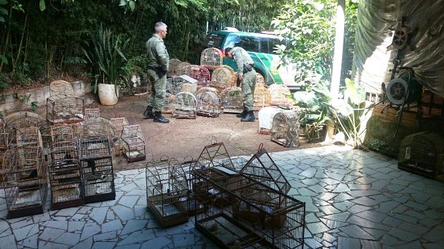 Polícia Ambiental prende 4 pessoas durante operação contra caça ilegal na região 