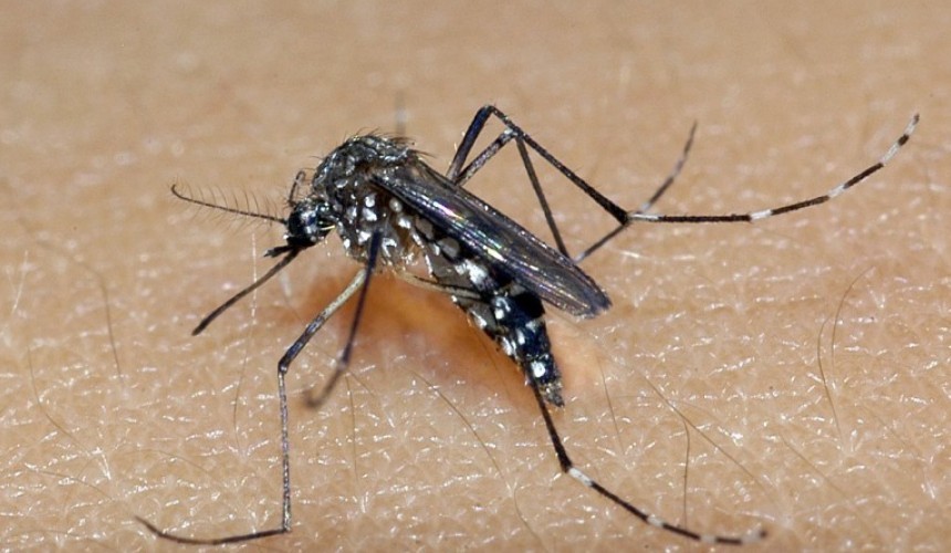 Boletim da dengue confirma 2 óbitos em Santa Lúcia