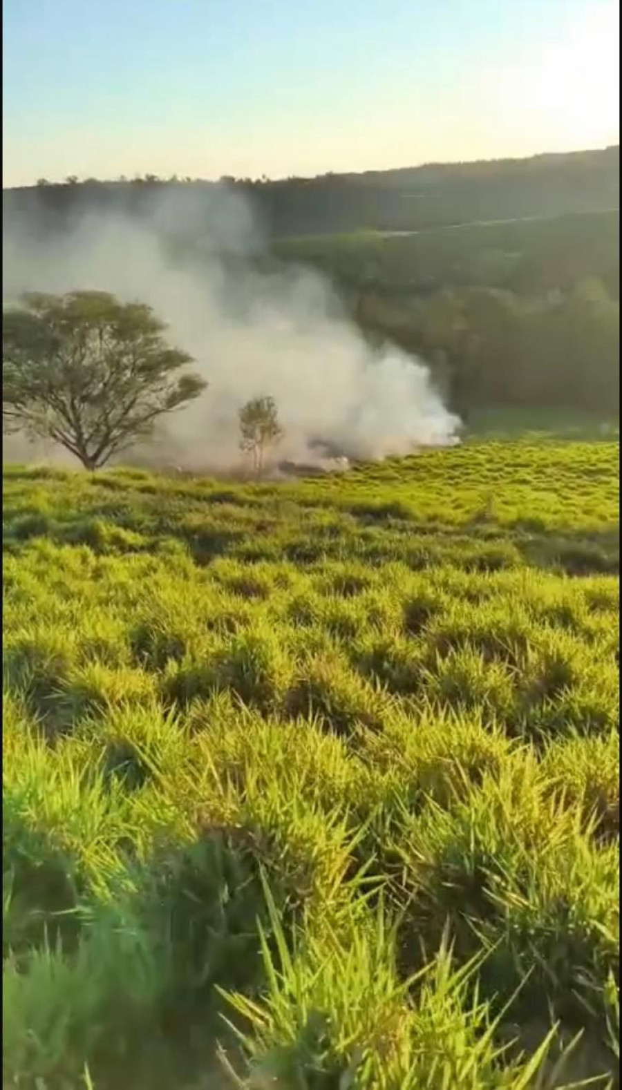 Incêndio ambiental é registrado na comunidade de Linha São Brás, em Capitão Leônidas Marques
