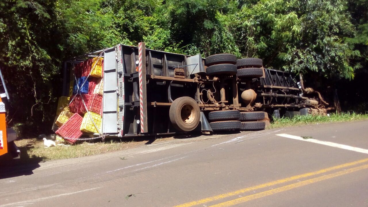 Caminhão carregado de frango tomba na PR 484 em Boa Vista da Aparecida