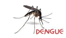 Paraná tem quase 3 mil novos casos de dengue e Capitão tem 82 casos confirmados