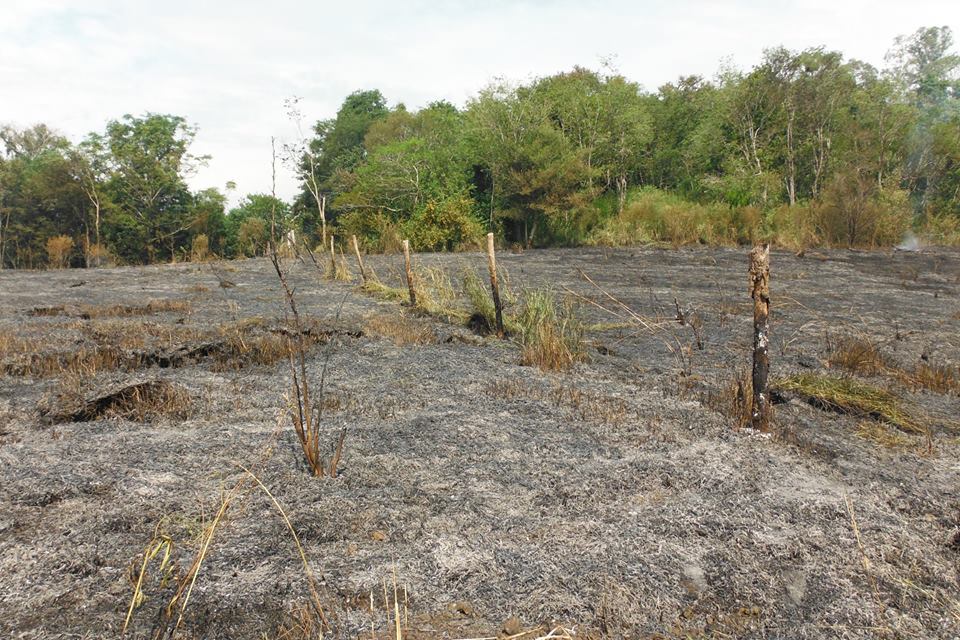 Incêndio em vegetação rasteira no interior de Capitão