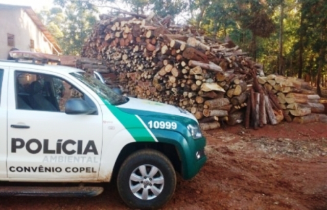 Detenções em Guaraniaçu, Cascavel e Nova Prata do Iguaçu por crime ambiental 