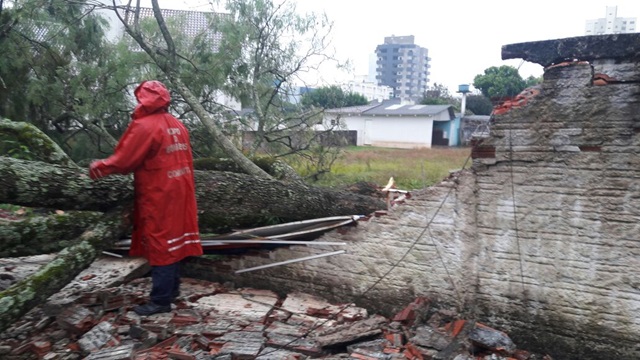 Chuva acompanhada de granizo e vento causa estragos em Francisco Beltrão