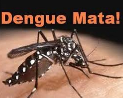 Mais duas mortes por dengue são registradas no Paraná