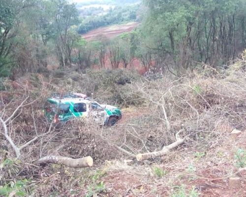 Dono de fazenda é preso por desmatar área nativa em Santa Tereza do Oeste