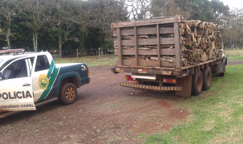 Policia apreende  caminhão com lenha nativa em Lindoeste