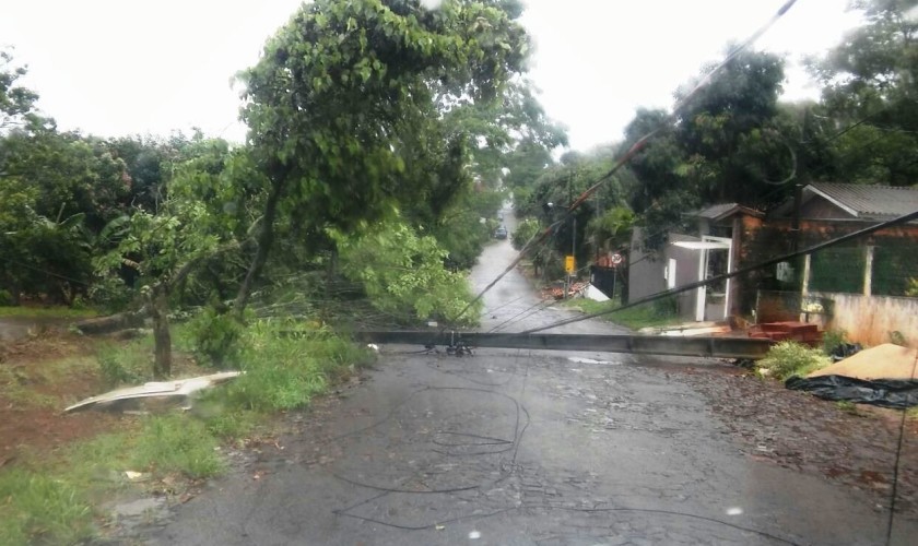 Temporal causou quedas de arvores e derruba  poste em Capitão L. Marques