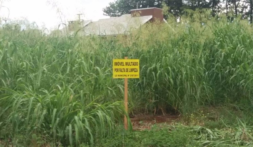 Terrenos mal cuidados começam a ser multados