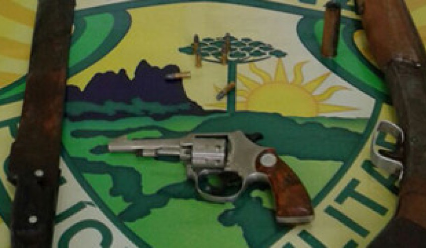 Nova Prata do Iguaçu: Polícia cumpre mandados e apreende armas de fogo