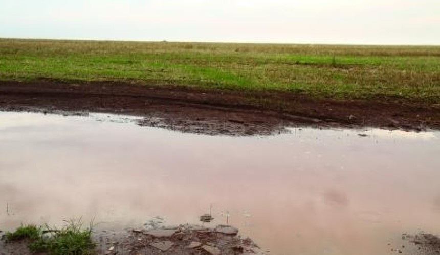 Chuva atrasa o plantio de 100 mil hectares de soja