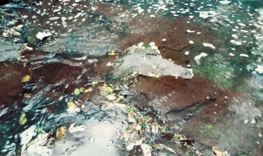 IAP investiga suposta contaminação de Rio em Lindoeste