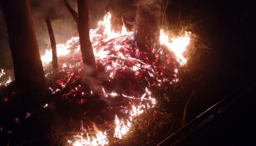 Bombeiros de Capitão combatem incêndio ambiental as margens da PR 484