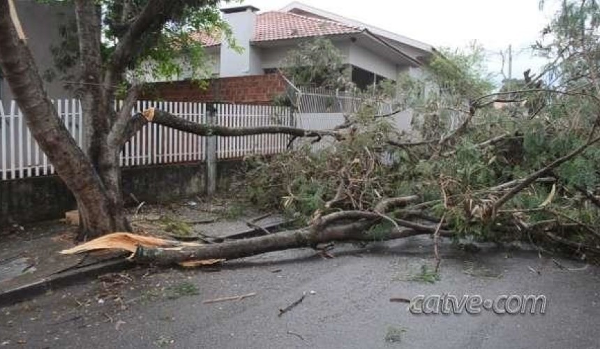 Ventos fortes deixam destruição após temporal em Toledo