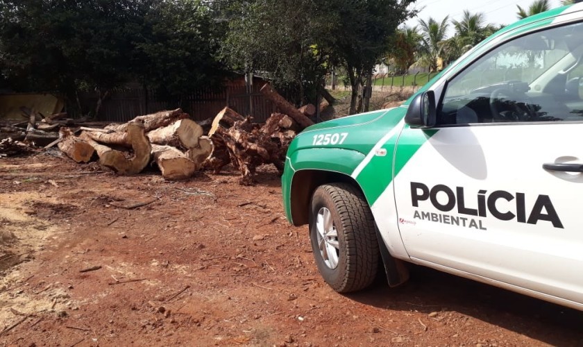 Policia Ambiental embarga serraria que operava sem licença em Capitão