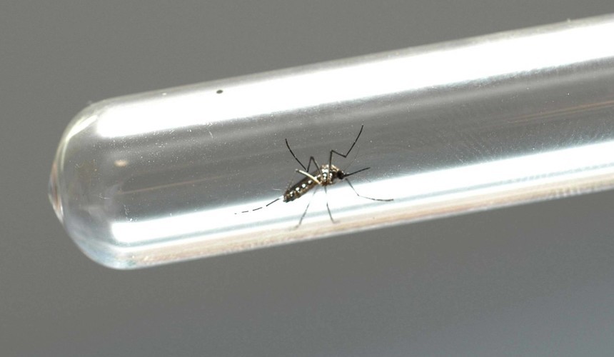 Confirmado mais dois casos de dengue em Capitão