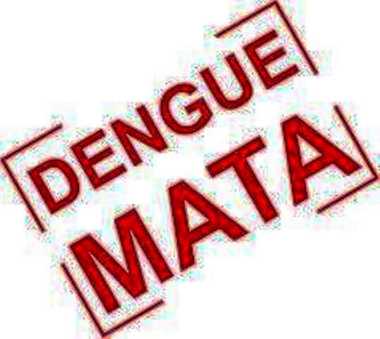 Oeste concentra 15% dos casos de dengue do Estado