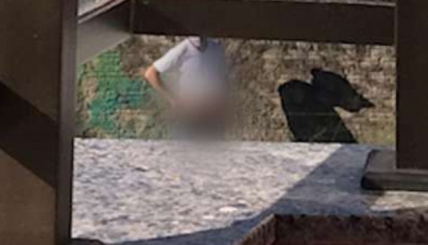 Homem com órgão genital exposto assusta mulheres na região Oeste de Cascavel