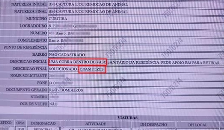 Bombeiros são chamados para retirar cobra de banheiro e descobrem que eram apenas fezes