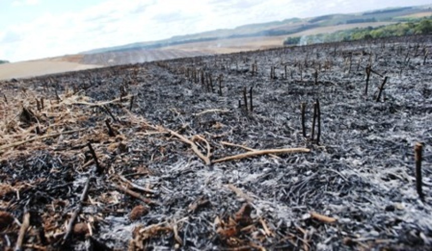 Bombeiros de Capitão são acionados para combater incêndio em Santa Lucia