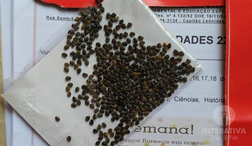 Alunos da rede municipal vão ajudar no combate à dengue em Capitão