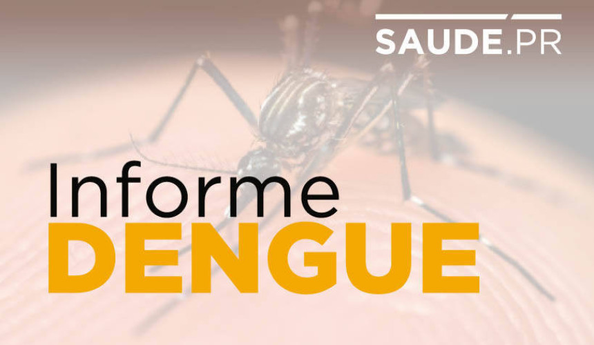 Paraná tem primeiro óbito por dengue no período epidemiológico