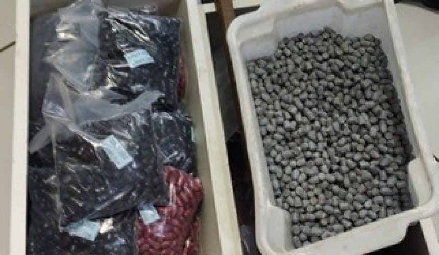 Exército Brasileiro apreende quase uma tonelada de munições em empresa de Marmeleiro