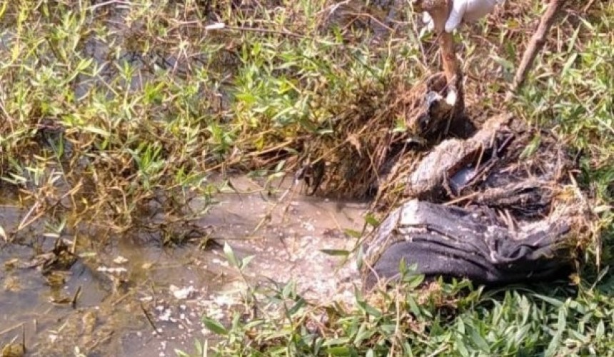 Polícia Civil vai investigar ossada encontrada no interior de Santa Helena