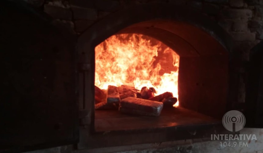 Mais de 450 Kg de maconha são incinerados em Capitão