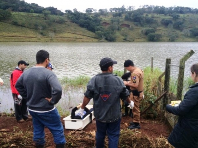 Mulher que sofria de depressão é encontrada morta em Boa Vista da Aparecida