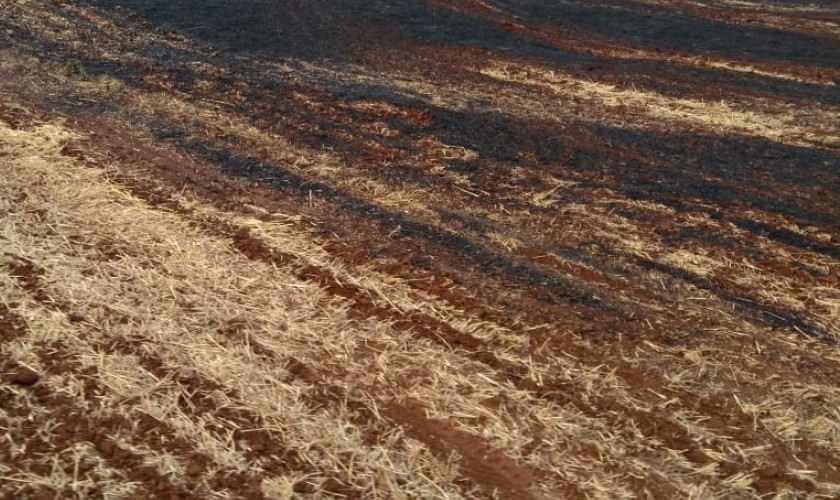 Incêndio consome cerca de 30 mil m² de área no interior de Santa Lúcia