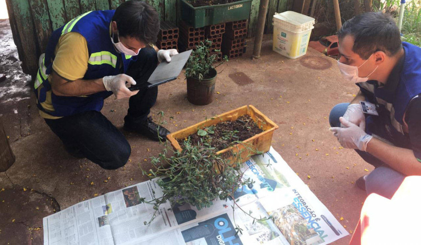 Paraná monitora caso das sementes clandestinas