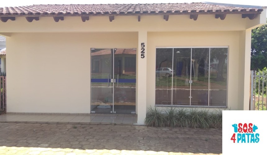 Para arrecadar fundos, ONG S.O.S 4 Patas de Capitão realizará um novo bazar, agora em endereço fixo