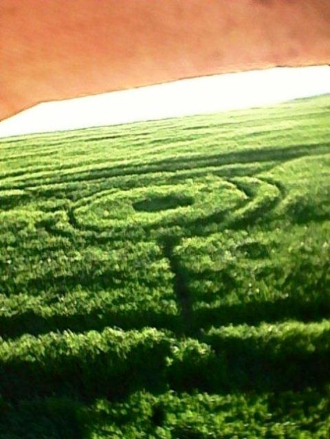 Desenhos geométricos aparecem em lavoura de trigo em Chopinzinho 