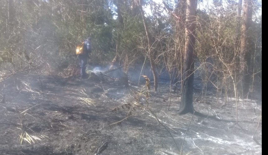 Bombeiros combatem incêndio ambiental na Linha Alto Caçula em Capitão