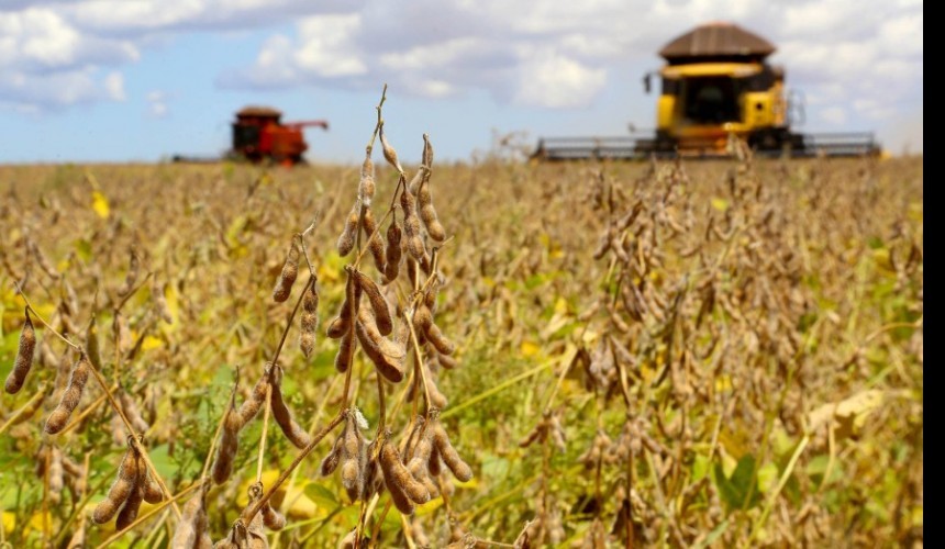 Chuva traz alívio momentâneo para agricultura de Capitão